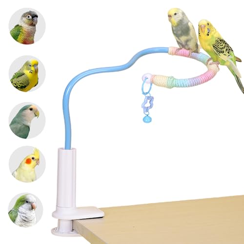 Flexible Bird Perch Stand with Bell - Parrot Toy & Desktop Training Playstand for Budgies, Cockatiels, Lovebirds, Conures, Parakeets - Colorful Playground Accessories (Blue, Medium)