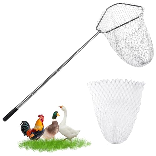 Chicken Catching Net Bird Net with Telescoping Pole, Strong Stainless Handle Full Extended to 48 Inches