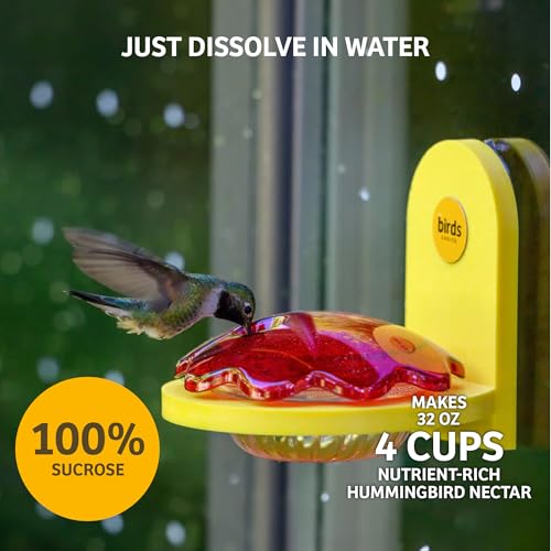 Birds Choice Hummingbird & Oriole Nectar | Pure & Healthy Sucrose Nectar for Birds | Easy Mix Concentrate | Natural Flower Sugar Alternative, No Additives | Safe for Feeders | 8 oz (4-Pack) | Sucrose-Based Easy Mix Concentrate, No Additives, Natural Flowe