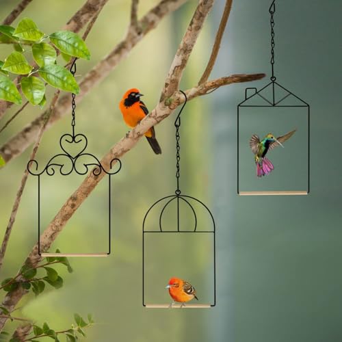 Metal Frame Hummingbird Swings and Perches with Wooden Dowel Black Bird Swing Outdoor Bird Perch Humming Bird Swing (3PK Different) - style: 3PK different