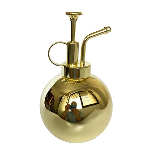 Stainless Steel Plant Sprayer, Small Watering Can, Modern Gardening Tool for Indoor Potted Plants, Gold Color - color: 17oz/Gold color