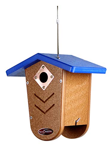 Recycled Moraine Bird House Nest Box for Wrens & Chickadees (Blue/Chocolate) - color: Blue/Chocolate