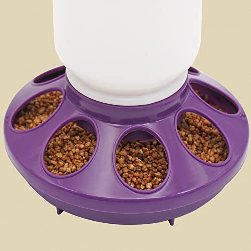 2 in 1 Chick Starter Set, 0.3Gal Feeder & 0.3Gal Waterer Set Purple | Chick Feeder and Waterer, Quail Feeder, Duck Feeder, Poultry Waterer, Chicken Feeder and Waterer Set, Baby Chicken Supplies - color: Purple