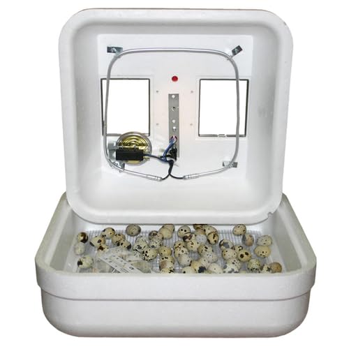 1602N Thermal Air Hova-Bator with 1611 Automatic Egg Turner w/ 6 Universal Egg Racks - style: with 1611 Automatic Egg Turner w/ 6 Universal Egg Racks