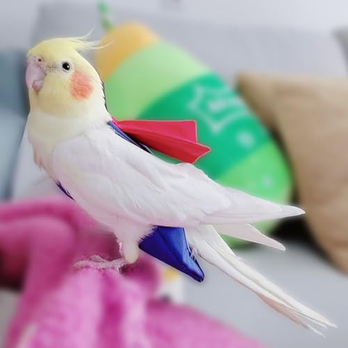 Parrot Flight Suit Diaper (Without Leash) - Reusable Bird Diaper for Budgies, Lovebirds, Cockatiels, and More - Fabric Bird Suit (Blue Superman-S) - size: Blue superman-S