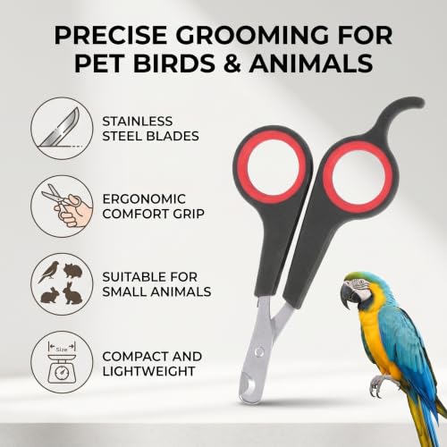 Bird Nail Clipper Grooming Tool Nail Scissors Clipper Pet Bird Parrot Small Animals Accessory for Small Parrot Birds