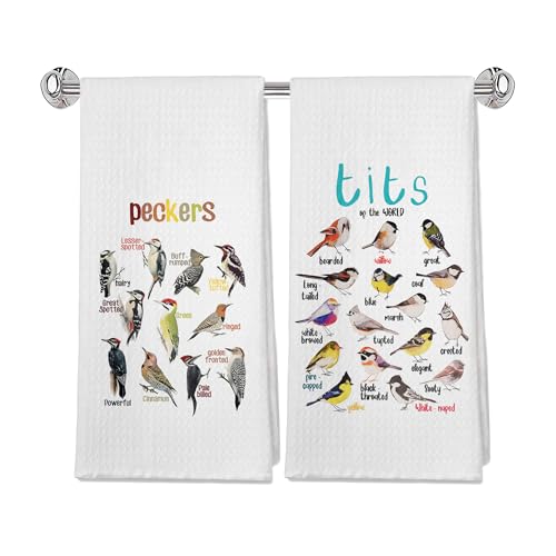 Colorful Bird Decorative Kitchen Towels and Dishcloths 16×24 Inches of 2, Birds Gifts Hand Towels, Birds Gifts for Bird Lovers, Farmhouse Drying Cloth Dish Tea Towel for Bathroom Kitchen - color: Color 32