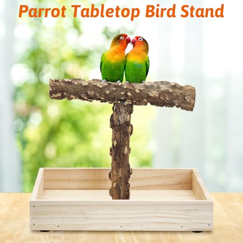 BNOSDM Portable Bird Perch Stand with Potty Tray, Natural Wood Tabletop Training Gym Parrot Playground Toy for Budgies, Cockatiels, Lovebirds,Conures - color: T-Shaped Bird Stand