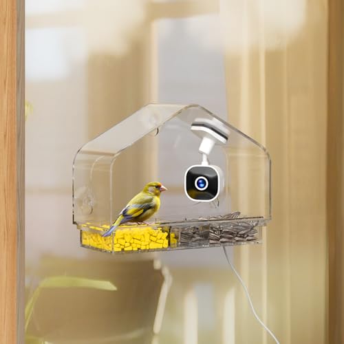Window Bird Feeder with Strong Suction Cups and Smart Bird Camera | 2K Clear Vision, AI Bird Recognition Tech, Real-Time Alerts, Easy to Use, Detachable Tray, 2.4G Connectivity USB Powered - color: White