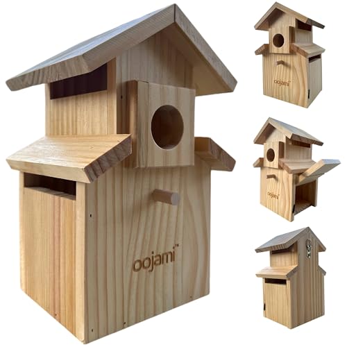 Bird House for Bluebird, Finch, Wren, Chickadee, Tree Swallow, Wild Birds, Woodpecker, Outdoor Nesting Box, Easy-to-Open (Unfinished DIY) - style: Unfinished DIY