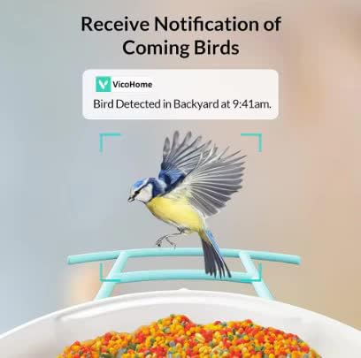VicoHome Bird Feeder with Camera - AI Bird Recognition, Solar Powered Outdoor Birdhouse Cam with Night Vision, Motion Alerts, App Control, Cloud & SD Storage, IP65 Waterproof, 2K HD Live View, Wi-Fi