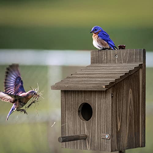 Bird House for Outside with Predator Guard, Nesting Box Birdhouse for Outdoor Wild Bird Watching, Royal Blue - color: Brown