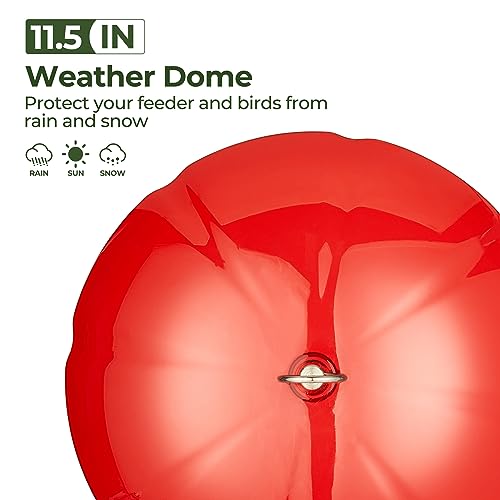 Kingsyard Weather Squirrel Baffle for Bird Feeder Hanging, Rain Guard Cover | 11.5 in, Made of Sturdy Plastic, Metal Hook, Ready to Use, Fits Most Feeders Outdoors, Weatherproof, Easy to Clean, Red - color: Red