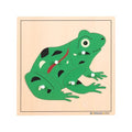 Montessori Outlet Frog Puzzle for 3-6 Years Montessori Education at School and Home - color: Frog