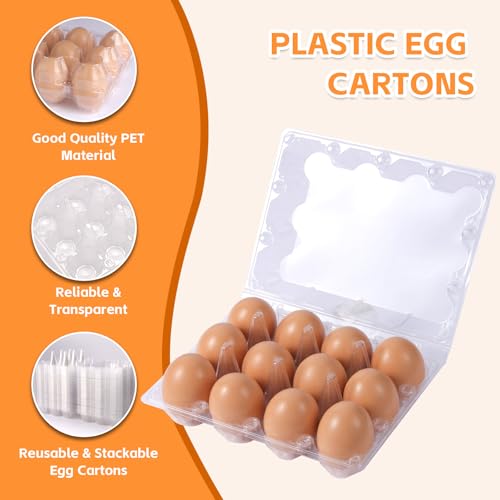 DecarDamai 100 Pack 3x4 Plastic Egg Cartons Cheap Bulk 12 Count Clear, Reusable & Sturdy Design Eggs Carton Bulk Perfect for Family, Farm, Markets, Display (Egg Storage Containers)