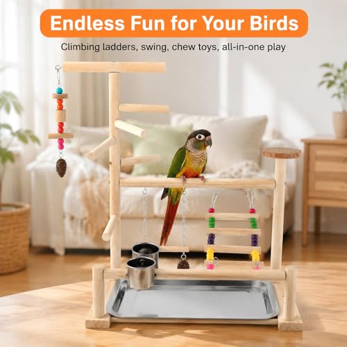 Bird Playground, Natural Pine Wood Parrot Stand with Swing, Climbing Ladder, Chew Toy and Perches, Bird Play Stand for Parakeets, Budgies, Cockatiels and Small Birds