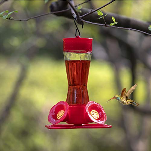 Nature's Rhythm Bird Feeder 4 bee Guard Plastic Feeding Port 8oz Glass Pinch Waist Hummingbird Feeder,1pcs - color: Red, size: 1pcs