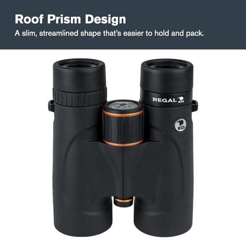 Celestron Regal ED 10x42 Roof Binoculars – ED Glass for Hunting & Wildlife | Premium ED Optics, Phase, Dielectric Coated BaK–4 Prism, Fully Multi–Coated Glass, 6.5 ft Close Focus, Tripod Adaptable - size: 10x42mm