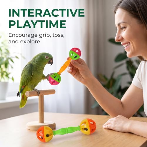 2 Pcs Bird Parrot Toy Rattle Birds Fun Exercise Plastic Double-Headed Bell Pet Toys Small and Medium Birds Foraging Foot Toy,Bird Toys, Pet Supplies