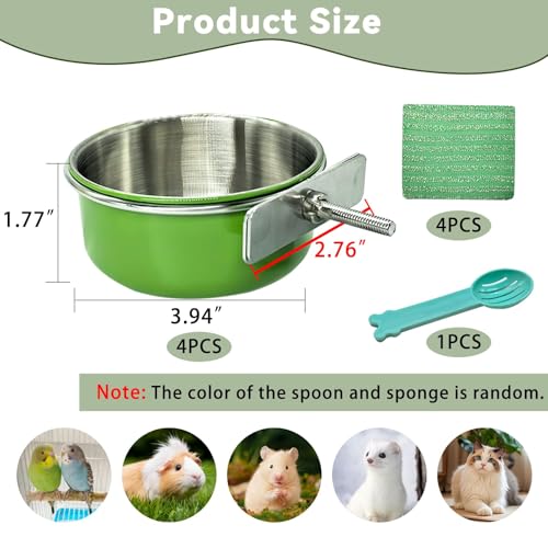 4 Pcs Parrot Feeding Dish Cups,Stainless Steel Bird Food Water Feeder Bowls | Parrot Cage Feeder with Clamp Holder Small Bird Feeding Cup for Parakeet Cockatiels Conure Budgies Chinchilla Small Animal - size: 4pcs Green