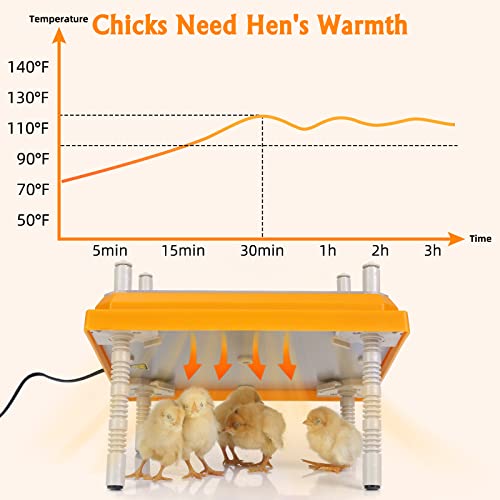 Brooder Heater for Chicks: Chick Brooder Heating Plate with Easy- Cleaning Plate Poultry Coop Heater Chicks Warmer 12" x 12" for 20 Chicks Adjustable Height Brooding Heater 22 Watts - color: Orange-12x12