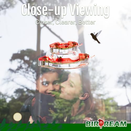 Birdream Window Hummingbird Feeders for Outdoors, with Strong Suction Cups & 7 Feeding Ports, Easy to Use and Maintain, Gift for Bird Lover, Plastic Bird Feeder, 1 Pack, 10oz - Red - size: 1 Pack