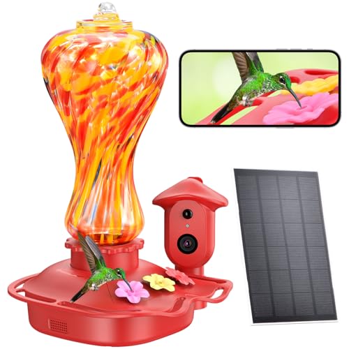 Camera Bird Feeder
