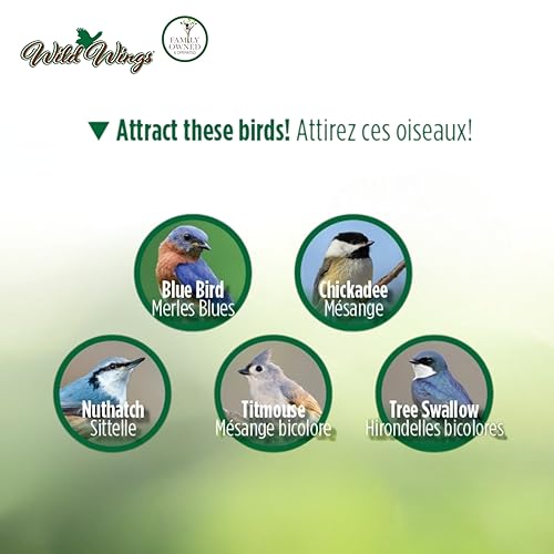 Wild Wings Decorative Bluebird House Olive Blossoms, Green - style: Olive Blossoms