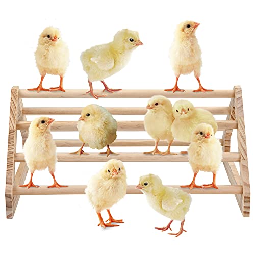 Wooden Chick Perch Stand, Pine Chicks Roosting Bar, Jungle Gym Perch Toys for Chicken Coop & Brooder, Bird Perch for Baby Chicks & Parrots (Large) - color: Large