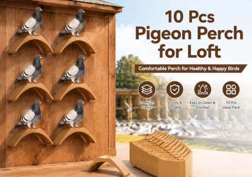 10-pc Plastic Dove Rest Stand with Screws, Race Pigeon Loft Dwell Perch Roost Holder Multi-Pack (Brown, 10-Pack Stand Bundle) - color: Brown