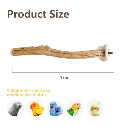 Natural Wood Bird Perch for Cage – Chewing & Claw Trimming Perch Toy for Parrots, Cockatiels, Budgies (Large 12") - size: Large 12"