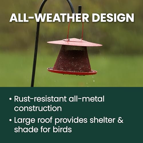 Perky-Pet Red Cardinal Wild Bird Feeder, 2.5 lb Seed Capacity | Holds Up to 15 Birds Simultaneously, Metal Hanging Feeder for Outdoors, Mesh Design, Built-In Hook & Circular Tray, C00322 - size: 1 Pack