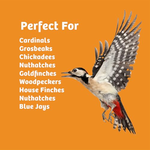 Birds Choice Trailblazin' Spicy Bird Seed | Squirrel Proof Wild Bird Food with Red Pepper | High-Energy Black Oil Sunflower Seeds, Peanuts & Safflower | High Protein & Fat Feeders | 5.1 lbs (2-Pack) | Squirrel Resistant Red Pepper Blend of Black Oil Sunfl
