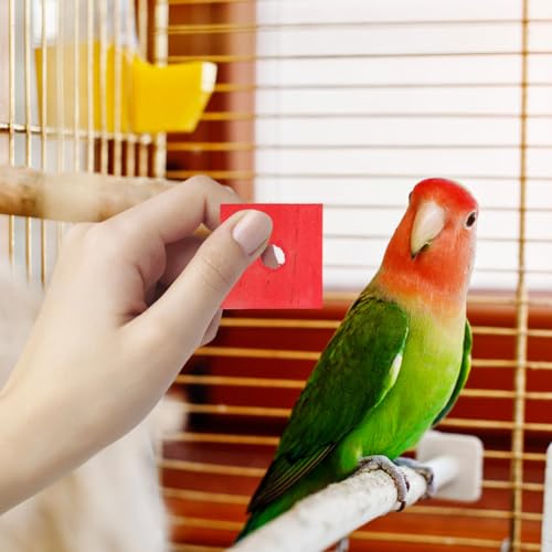 GANAZONO 100Pcs Parrot Wood Blocks Toys Wooden Blocks Bird Chewing Toy Bird Bite Toys Mini Wood Chips DIY Craft for Parrot Playing Chewing | 100Pcs Safe Bite Toy for Small Birds Teething Grinding Fun Mixed Colors for Cockatiels Parakeets and Conures