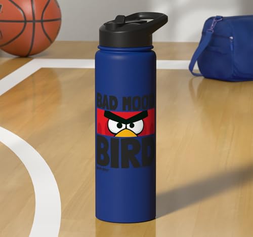 Angry Birds Red Bad Mood Bird Stainless Steel Insulated Water Bottle - color: Royal Blue