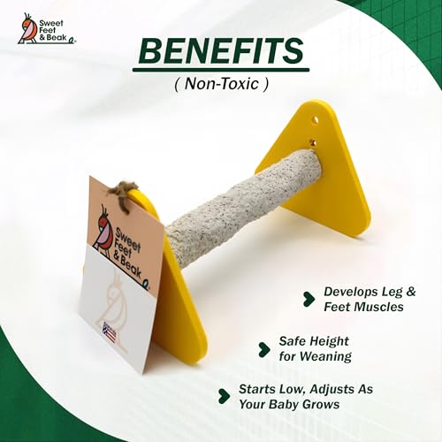 Sweet Feet and Beak Baby Weaning Stand, Medium Training Bird Perch | 3 Adjustable Heights, Training & Play Stand, Easy to Clean, Handmade in USA, For Baby Finches, Canaries & Small Budgies - size: Medium