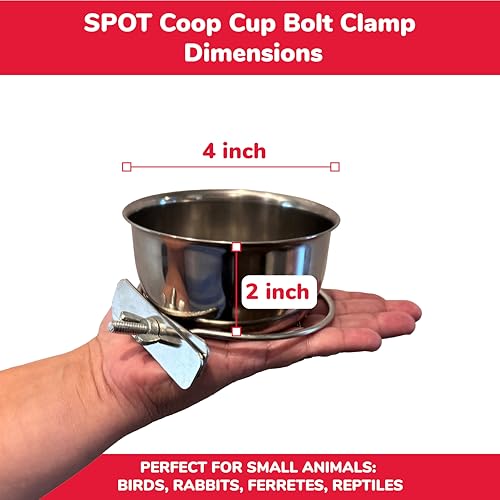 SPOT Coop Cup Bolt Clamp - Stainless Steel Hanging Bowl for Crates, Removable, Chew-Proof Pet Feeding Dish, Ideal for Birds, Parrots, Rabbits, Ferrets, Reptiles, 1.25 Cups (10 Oz) - color: Clamp-On, size: 10 Oz