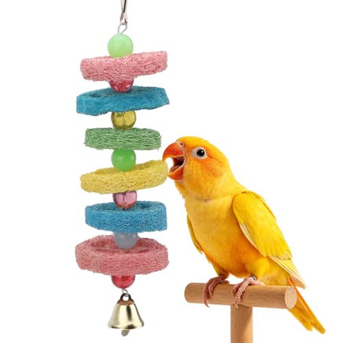 Hypeety Bird Toys Parrot Hanging Chew Toys Natural Colorful Loofah Shred and Preen Swing Bird Bell Cage Parrot Toys - color: Loofah Shred Toy