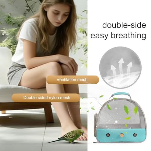 Bird Carrier, Portable Small Bird Parrot Parakeet Carrier with Standing Perch and Soft Mat, Side Access Window Collapsible (Green, Mesh Windows) - color: Green