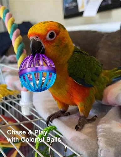 5-Pack Bird Toys for Parrots Cockatiels Budgies Canaries, Bell Rattan Balls | Bell Sound Stimulation, Rattan Chewing for Beak Health - size: 1.5'' - 2.8''