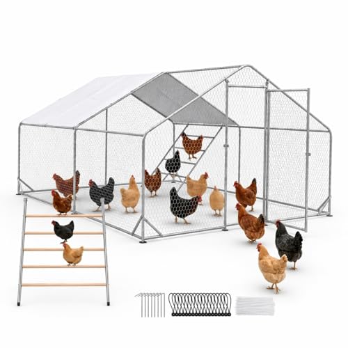 Heavy Duty Metal Chicken Coop with Hardware Cloth (117.99" L x 118.01" W x 78" H) - size: 117.99"L x 118.01"W x 78"H