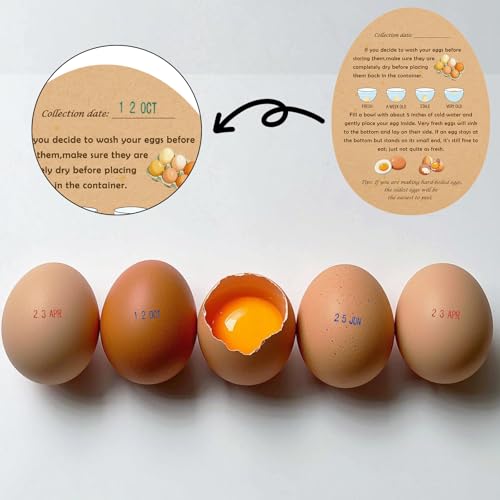 Egg Date Stamps for Fresh Eggs, with a Four-Color Ink Pad, 50 Farm Fresh Eggs Instructions, Egg Dater Kit, Date Roller Stamps, Date Label Stamper for Egg Mark Farm Office Shipping Receiving