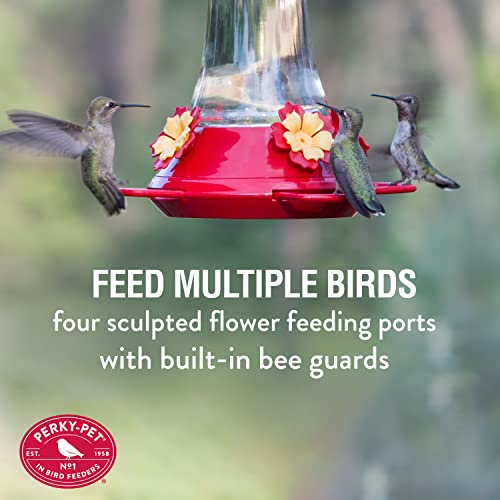 Perky-Pet 476 Glass 20-Ounce Hummingbird Feeder - color: Red