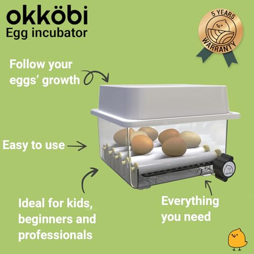 OBI-12 Incubator for Hatching Eggs – 12 Eggs, Easy to Use, Stable Temperature & Humidity Control with Eggloo Insulation - Orange