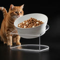 Raised Cat Bowl, 15° Tilted, 4.5 in High, White | 15° tilted shallow melamine bowl on a 4.5 in raised stand supports comfortable feeding and reduces whisker contact. - color: White