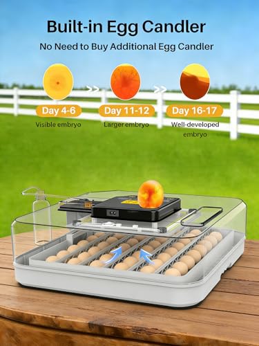 48 Incubators for Hatching Eggs, Eggs Incubator with Egg Candler, Automatic Turner, Temperature and Humidity Control, Incubator for Chicken, Duck, Quail Eggs, Ideal for Farm, School and Lab