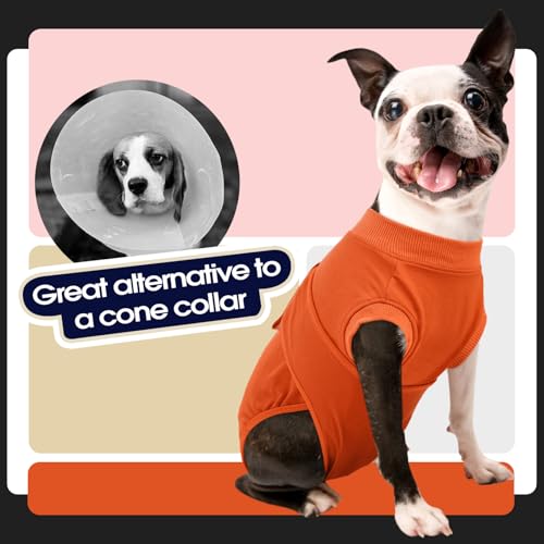 Dog Recovery Suit Male,Dogs Surgery Neuter Suits Puppy Spay Shirts for Female Protect Dog's Skin Anti Licking Abdominal Wounds Doggie Onesie Pet Bodysuit Alternative to Cone Orange XS - color: Orange, size: Xs(back:8.3-11.4in,wt:4-7lbs)
