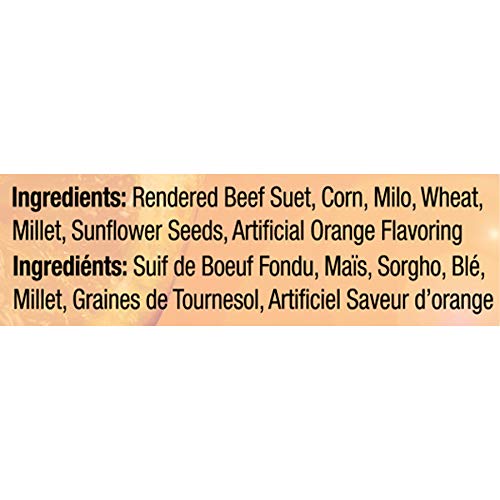 Heath Outdoor Products DD14-10: Orange Burst Suet Cake - Pack of 10