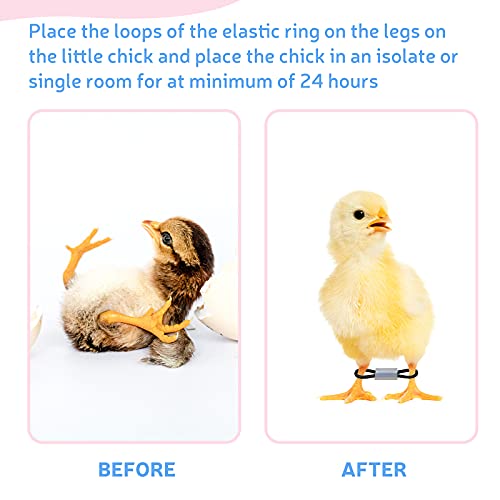 Patelai 50 Sets Baby Chick Leg Bands Splay Hobbles Brace Adjustable Poultry Leg Bands for Newborn Chick Bird Ducks of 1 to 3 Days Newly Hatched