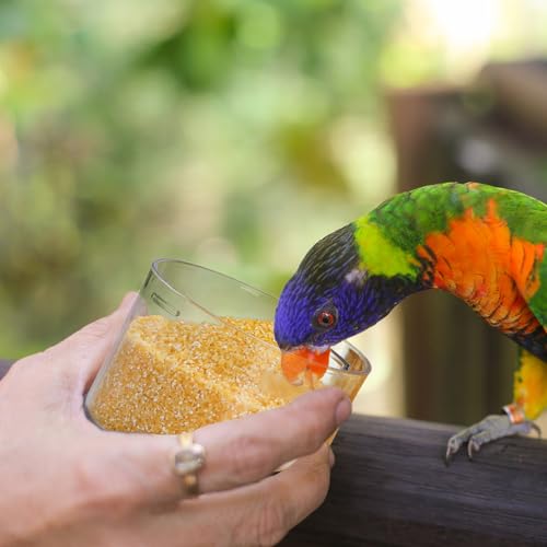 2 Pack Bird Seed Storage Container, 3 Qt/2.8 L Airtight Cereal Storage Bin with Pour Spout and Measuring Cup, BPA Free Plastic Water Pitcher with Handle for Rice, Grain, Flour, Pet Food